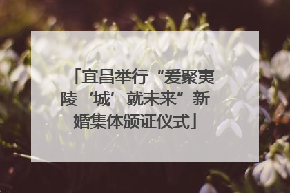 宜昌举行“爱聚夷陵‘城’就未来”新婚集体颁证仪式