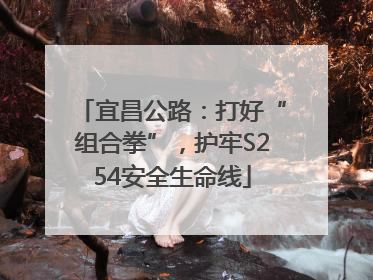 宜昌公路：打好“组合拳”，护牢S254安全生命线