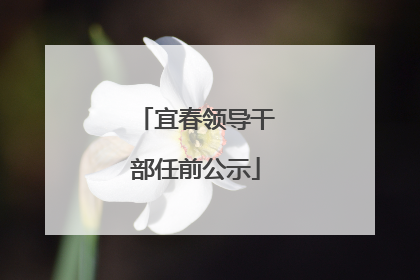 宜春领导干部任前公示