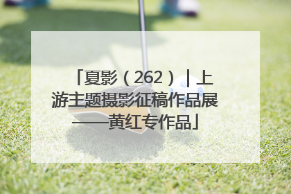 夏影（262）｜上游主题摄影征稿作品展——黄红专作品