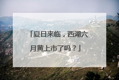 夏日来临，西湖六月黄上市了吗？