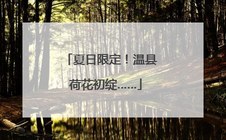 夏日限定！温县荷花初绽……