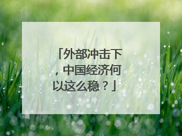 外部冲击下，中国经济何以这么稳？