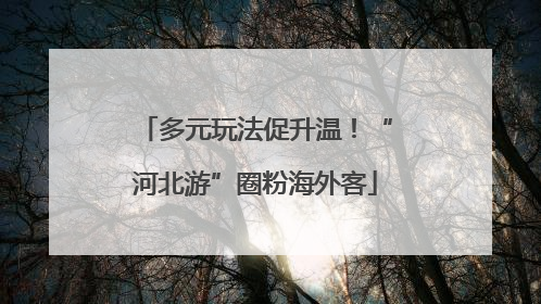 多元玩法促升温！“河北游”圈粉海外客
