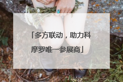 多方联动，助力科摩罗唯一参展商