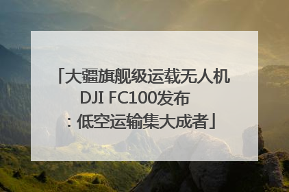 大疆旗舰级运载无人机DJI FC100发布：低空运输集大成者