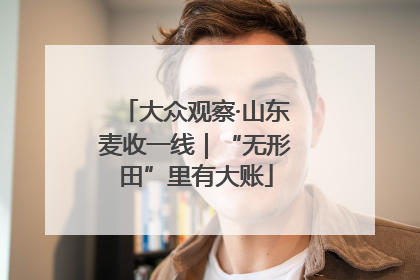 大众观察·山东麦收一线｜“无形田”里有大账