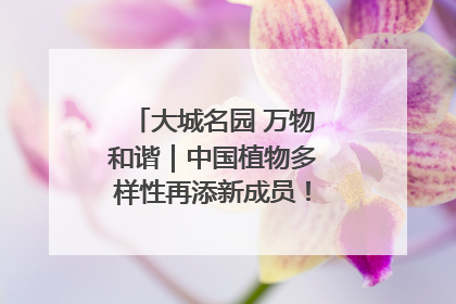大城名园 万物和谐｜中国植物多样性再添新成员！它只在西藏墨脱