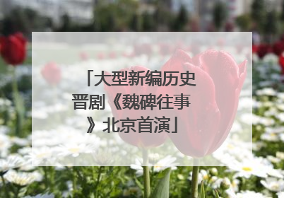 大型新编历史晋剧《魏碑往事》北京首演