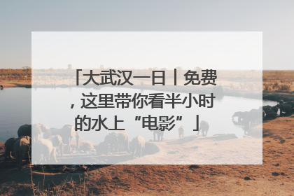大武汉一日︱免费，这里带你看半小时的水上“电影”