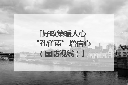 好政策暖人心 “孔雀蓝”增信心（国防视线）