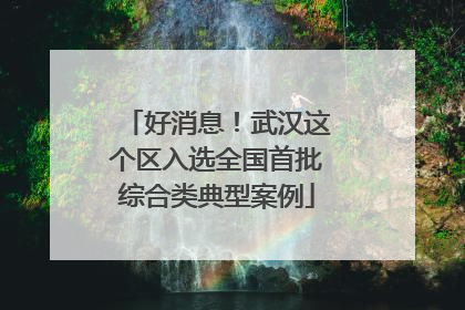 好消息！武汉这个区入选全国首批综合类典型案例