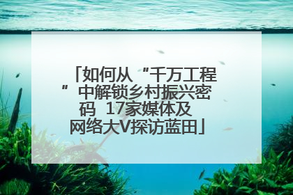 如何从“千万工程”中解锁乡村振兴密码  17家媒体及网络大V探访蓝田