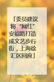 委员建议将“网红”安福路打造成文艺步行街，上海徐汇区回应