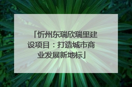 忻州东瑞欣瑞里建设项目：打造城市商业发展新地标