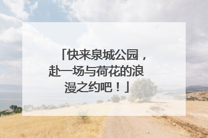 快来泉城公园，赴一场与荷花的浪漫之约吧！