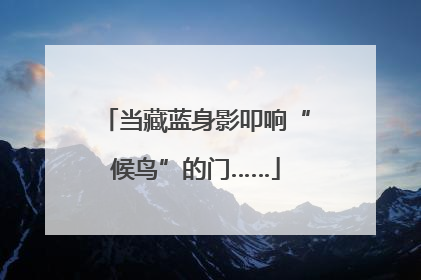 当藏蓝身影叩响“候鸟”的门……