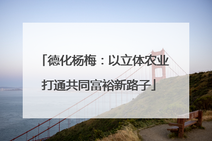 德化杨梅：以立体农业打通共同富裕新路子