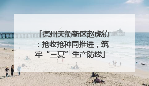 德州天衢新区赵虎镇：抢收抢种同推进，筑牢“三夏”生产防线