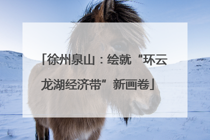 徐州泉山：绘就“环云龙湖经济带”新画卷