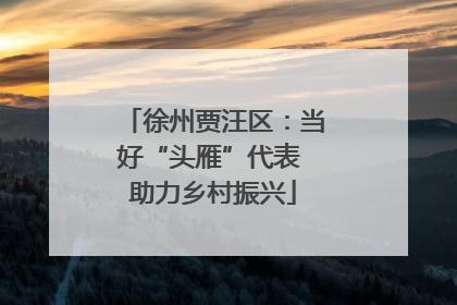 徐州贾汪区：当好“头雁”代表 助力乡村振兴