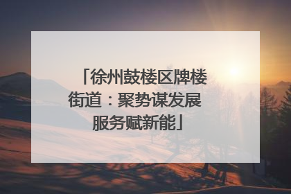 徐州鼓楼区牌楼街道：聚势谋发展 服务赋新能