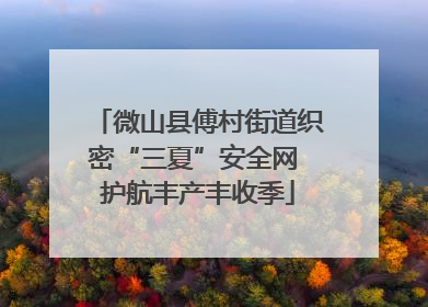 微山县傅村街道织密“三夏”安全网 护航丰产丰收季