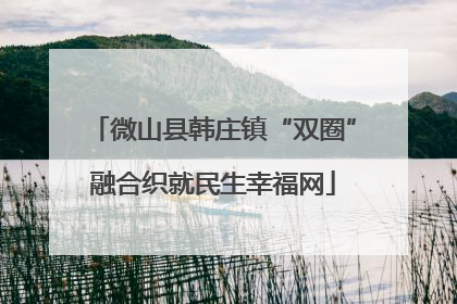 微山县韩庄镇“双圈”融合织就民生幸福网