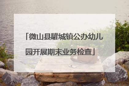 微山县驩城镇公办幼儿园开展期末业务检查