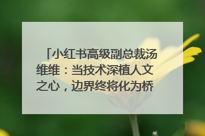 小红书高级副总裁汤维维：当技术深植人文之心，边界终将化为桥梁｜聚焦2025文化强国建设高峰论坛