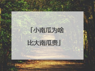 小南瓜为啥比大南瓜贵