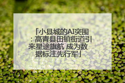 小县城的AI突围：高青县田镇街道引来星途旗航 成为数据标注先行军