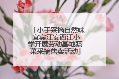 小手采摘自然味 宜宾江安西江小学开展劳动基地蔬菜采摘售卖活动