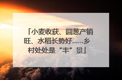 小麦收获、圆葱产销旺、水稻长势好……乡村处处是“丰”景