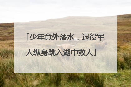 少年意外落水，退役军人纵身跳入湖中救人