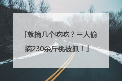 就摘几个吃吃？三人偷摘230余斤桃被抓！