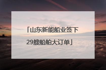 山东新能船业签下29艘船舶大订单