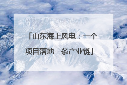 山东海上风电：一个项目落地一条产业链