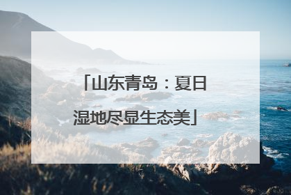 山东青岛：夏日湿地尽显生态美