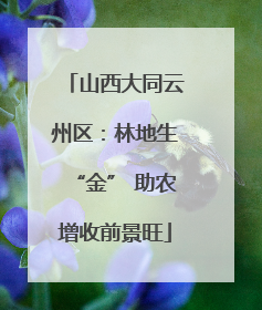 山西大同云州区：林地生“金” 助农增收前景旺