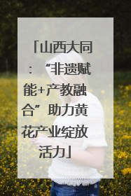 山西大同：“非遗赋能+产教融合”助力黄花产业绽放活力