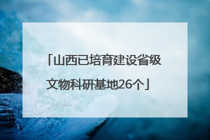 山西已培育建设省级文物科研基地26个