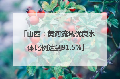 山西：黄河流域优良水体比例达到91.5%