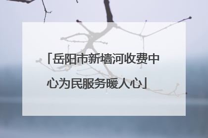 岳阳市新墙河收费中心为民服务暖人心