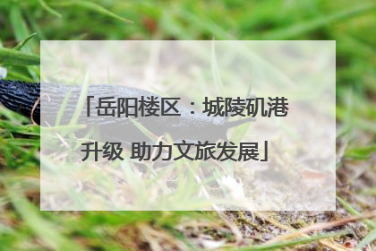 岳阳楼区：城陵矶港升级 助力文旅发展