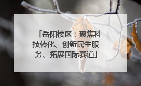 岳阳楼区：聚焦科技转化、创新民生服务、拓展国际赛道