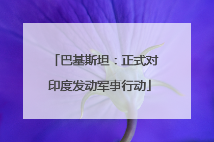巴基斯坦：正式对印度发动军事行动