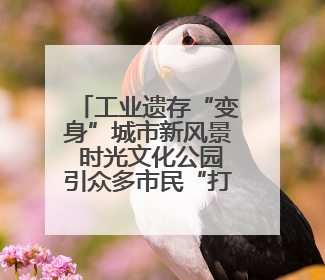 工业遗存“变身”城市新风景 时光文化公园引众多市民“打卡”