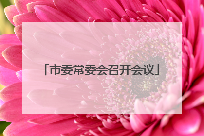 市委常委会召开会议