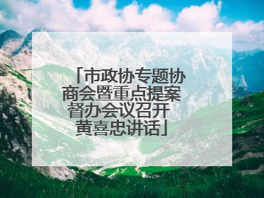 市政协专题协商会暨重点提案督办会议召开 黄喜忠讲话